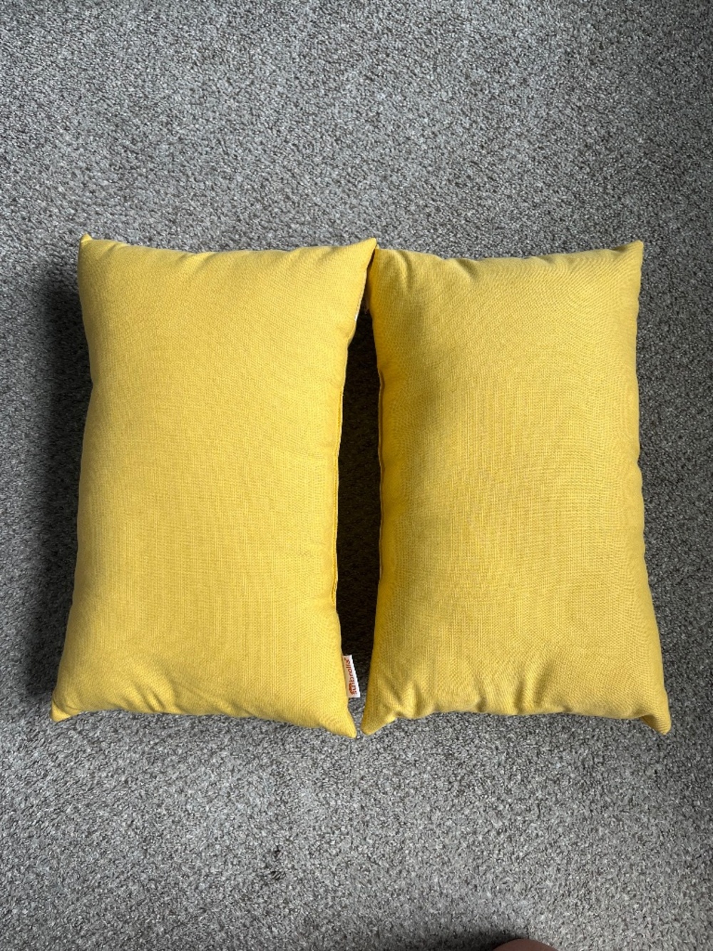 2 Sunbrella pillows